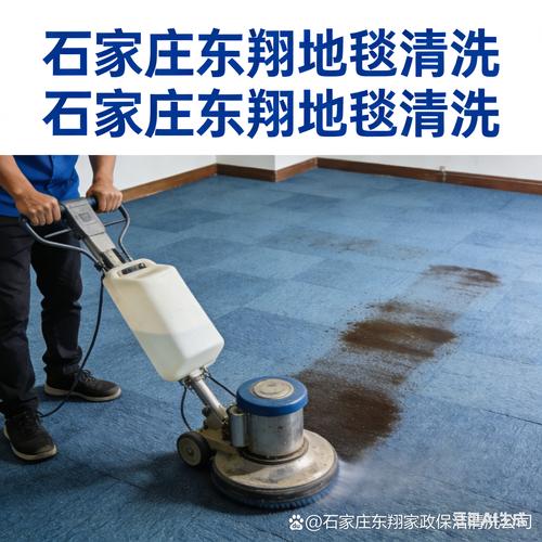 地毯+沙发清洗(专业上门)